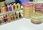 Strategies for Reducing Hospital-Acquired Infections Strategies for Reducing Hospital-Acquired Infections