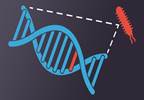 Using Genome Mapping to Fight Antibiotic Resistance Bacteria Using Genome Mapping to Fight Antibiotic Resistance Bacteria