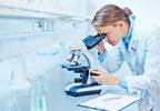 Researchers ID Zika Virus in Sperm Researchers ID Zika Virus in Sperm