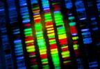 Zika Virus Genome Sequence Isolated From Semen Zika Virus Genome Sequence Isolated From Semen
