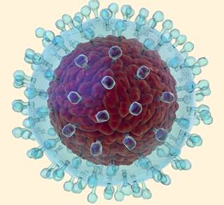 Sustained viral response correlated with a significant decrease in the risk of diabetes mellitus. Sustained viral response correlated with a significant decrease in the risk of diabetes mellitus.
