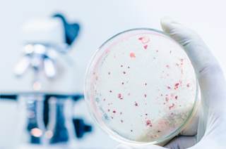 Individuals with schizophrenia were 63% more likely to suffer a serious infection than those in the general population. Individuals with schizophrenia were 63% more likely to suffer a serious infection than those in the general population.