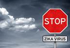 Zika Outbreak in US Could Mean High Economic Burden Zika Outbreak in US Could Mean High Economic Burden