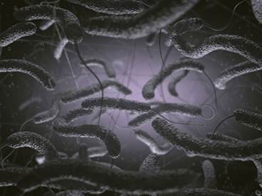 Cholera Vaccine Recommendations Issued by ACIP Cholera Vaccine Recommendations Issued by ACIP