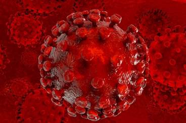 Gilead Submits NDA for Triple-Therapy, Single Tablet HIV Regimen Gilead Submits NDA for Triple-Therapy, Single Tablet HIV Regimen