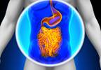 Vaccine Elicits Immunity in Patients with End Stage Liver Disease Vaccine Elicits Immunity in Patients with End Stage Liver Disease