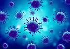 Study: Germs Found On Boston 'T' Mostly 'Normal,' Not Dangerous Study: Germs Found On Boston 'T' Mostly 'Normal,' Not Dangerous