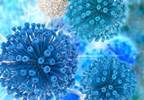 Teen's HIV Remains Under Control More Than A Decade After Stopping Tx Teen's HIV Remains Under Control More Than A Decade After Stopping Tx