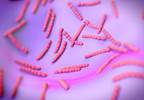 ACIP : Actions on Meningococcal, Pneumococcal, Flu Vaccines ACIP : Actions on Meningococcal, Pneumococcal, Flu Vaccines