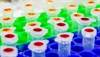 Co-infection With HCV, HIV Linked With Increased Risk of Diabetes Co-infection With HCV, HIV Linked With Increased Risk of Diabetes