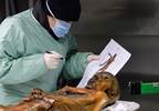 Heliobacter Pylori Found in Ancient 'Iceman' Mummy Heliobacter Pylori Found in Ancient 'Iceman' Mummy