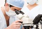 Novel Interstitium Has Been Identified in Human Tissues Novel Interstitium Has Been Identified in Human Tissues