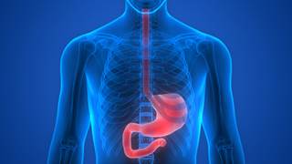 Twice-daily relamorelin correlated with accelerated gastric emptying and reduced vomiting frequency by 60%. Twice-daily relamorelin correlated with accelerated gastric emptying and reduced vomiting frequency by 60%.