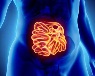 Thirty-eight of 231 NCGS patients showed gluten-specific symptoms when completing the placebo-controlled gluten challenge. Thirty-eight of 231 NCGS patients showed gluten-specific symptoms when completing the placebo-controlled gluten challenge.