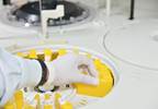 Study: Avoid Risk Factors to Prevent Aspergillosis in Patients With Severe Influenza Study: Avoid Risk Factors to Prevent Aspergillosis in Patients With Severe Influenza