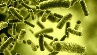 From 2001 to 2012, multiply recurrent <I>Clostridium difficile</I> increased by 188.8%. From 2001 to 2012, multiply recurrent <I>Clostridium difficile</I> increased by 188.8%.