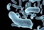 Enteropathogen Testing and Diarrhea Incidence Enteropathogen Testing and Diarrhea Incidence
