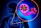 COPD Expected to Increase Through 2030, Especially in Elderly COPD Expected to Increase Through 2030, Especially in Elderly