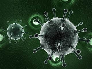 Long-term follow-up after lamivudine discontinuation is essential to identify and treat delayed HBV reactivation. Long-term follow-up after lamivudine discontinuation is essential to identify and treat delayed HBV reactivation.