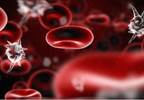 Fungal Infection-Free Survival Not Improved with Empirical Micafungin Treatment Fungal Infection-Free Survival Not Improved with Empirical Micafungin Treatment