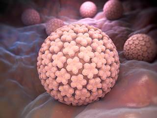The decline in HPV infections among unvaccinated women suggests that they are beginning to benefit from herd immunization resulting from the introduction of the HPV vaccine. The decline in HPV infections among unvaccinated women suggests that they are beginning to benefit from herd immunization resulting from the introduction of the HPV vaccine.