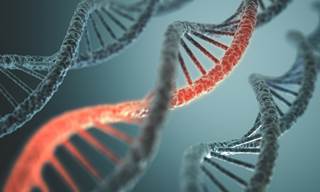 An NS5A mutation renders hepatitis C virus resistant to NS5A inhibitors but susceptible to protease inhibitors. An NS5A mutation renders hepatitis C virus resistant to NS5A inhibitors but susceptible to protease inhibitors.