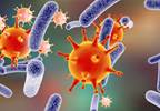 Hydrocortisone Does Not Reduce Risk of Septic Shock in Severe Sepsis Hydrocortisone Does Not Reduce Risk of Septic Shock in Severe Sepsis