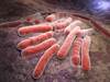 Latent Tuberculosis May Benefit From 3-Month Rifapentine, Isoniazid Tx Latent Tuberculosis May Benefit From 3-Month Rifapentine, Isoniazid Tx