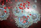 Biologic Agents Used to Treat Patients With Psoriasis and HIV Infection Biologic Agents Used to Treat Patients With Psoriasis and HIV Infection