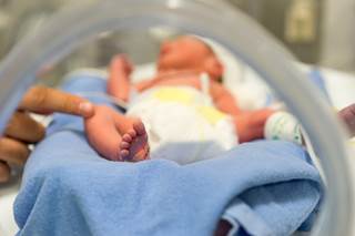 Pregnant women infected with the Zika virus are 20 times more likely to have an infant born with certain birth defects. Pregnant women infected with the Zika virus are 20 times more likely to have an infant born with certain birth defects.