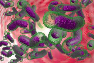The CDC’s Advisory Committee on Immunization Practices voted unanimously to recommend Vaxchora for US travelers to areas of active cholera transmission. The CDC’s Advisory Committee on Immunization Practices voted unanimously to recommend Vaxchora for US travelers to areas of active cholera transmission.