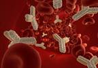Hep B Core Antibody-Positive Organs May Provide Solutions to the Organ Donor Crisis Hep B Core Antibody-Positive Organs May Provide Solutions to the Organ Donor Crisis