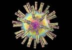 ZTlido Approved to Treat Pain Associated With Postherpetic Neuralgia ZTlido Approved to Treat Pain Associated With Postherpetic Neuralgia