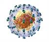 ID Specialist Involvement Key to Successfully Treating Hepatitis C ID Specialist Involvement Key to Successfully Treating Hepatitis C