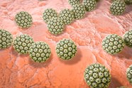 Renal Transplant Linked To Higher Rates Of HPV In Women