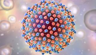 The most frequent adverse events were anemia, and cutaneous rash and pruritus, which were observed in participants who were administered ribavirin. The most frequent adverse events were anemia, and cutaneous rash and pruritus, which were observed in participants who were administered ribavirin.