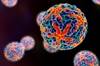 Dengue Vaccine Presents Solutions and Backlash in Dengue-Endemic Regions Dengue Vaccine Presents Solutions and Backlash in Dengue-Endemic Regions