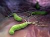 Greater Benefit With Azithromycin in COPD Patients With <i>H pylori</i> Greater Benefit With Azithromycin in COPD Patients With <i>H pylori</i>