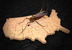 CDC Reports Number of Noncongenital Zika Virus Cases in the United States CDC Reports Number of Noncongenital Zika Virus Cases in the United States