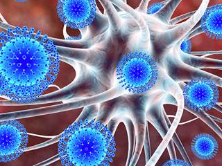 Unlike 2015, an apparent resurgence of Zika virus infection and Guillain–Barré syndrome in 2016 did not lead to increase cases of microcephaly later in the year. Unlike 2015, an apparent resurgence of Zika virus infection and Guillain–Barré syndrome in 2016 did not lead to increase cases of microcephaly later in the year.