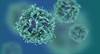 Latent HIV May Exist in Both Resting and Non-Resting CD4 T cells Latent HIV May Exist in Both Resting and Non-Resting CD4 T cells