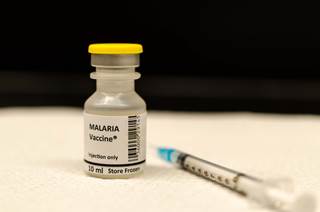 Vaccine contains weakened <i>P falciparum</i> sporozoites that do not cause infection but are able to generate a protective immune response. Vaccine contains weakened <i>P falciparum</i> sporozoites that do not cause infection but are able to generate a protective immune response.