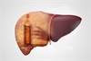 Effects of Alcohol Consumption on the Body Effects of Alcohol Consumption on the Body