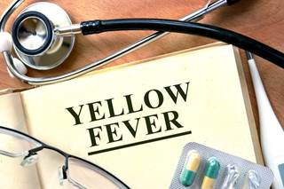 Yellow fever outbreak has the potential to be the fifth mosquito-born infection in the US since the 1990s. Yellow fever outbreak has the potential to be the fifth mosquito-born infection in the US since the 1990s.