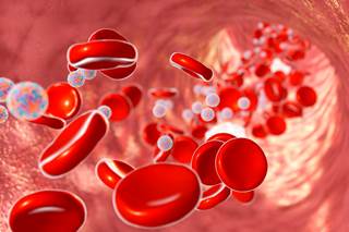 Researchers recorded heart-related symptoms alongside Zika symptoms in patients. Researchers recorded heart-related symptoms alongside Zika symptoms in patients.