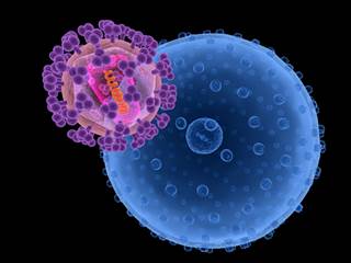 Researchers found 12 cases of mother-to-child HIV transmission among 1,857 liveborn neonates. Researchers found 12 cases of mother-to-child HIV transmission among 1,857 liveborn neonates.