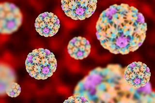 Researchers found that 45.2% of men and 39.9% of women were infected with any genital HPV in 2013 to 2014. Researchers found that 45.2% of men and 39.9% of women were infected with any genital HPV in 2013 to 2014.