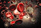 Effect of Highly Active Antiretroviral Therapy on BMI in HIV Effect of Highly Active Antiretroviral Therapy on BMI in HIV