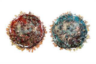 Both aCD4 and its increases after starting ART poorly correlate with CD4% and CD4/CD8 increments, and significantly overstate the immune recovery rates. Both aCD4 and its increases after starting ART poorly correlate with CD4% and CD4/CD8 increments, and significantly overstate the immune recovery rates.