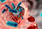 Oral Ciprofloxacin Effective in Treatment for Bacteremia Oral Ciprofloxacin Effective in Treatment for Bacteremia